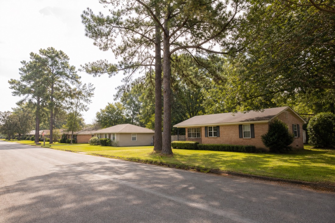 Quiet East Texas residential street with modest homes and pine trees
